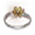 Ikona